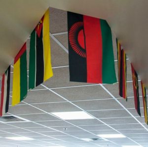 Flags hang in Gordy Hall, the linguistics and international studies building, on the Ohio University campus. (Credit: Jasmine Beaubien, The Essay Magazine)